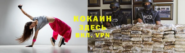 мескалин Новодвинск