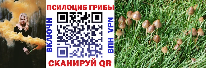 блэк спрут вход  Рязань  Псилоцибиновые грибы Magic Shrooms 