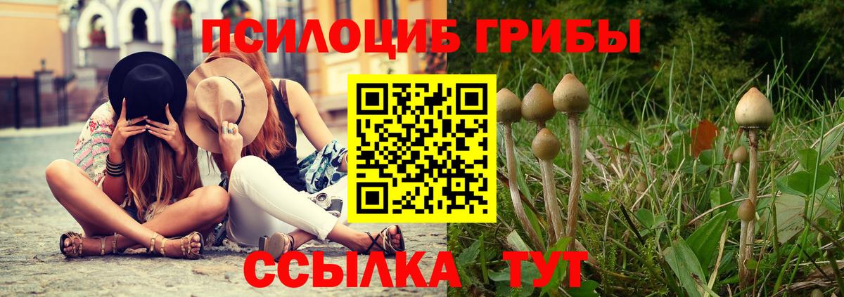 Псилоцибиновые грибы прущие грибы  Вход с VPN  даркнет сайт  Рязань 